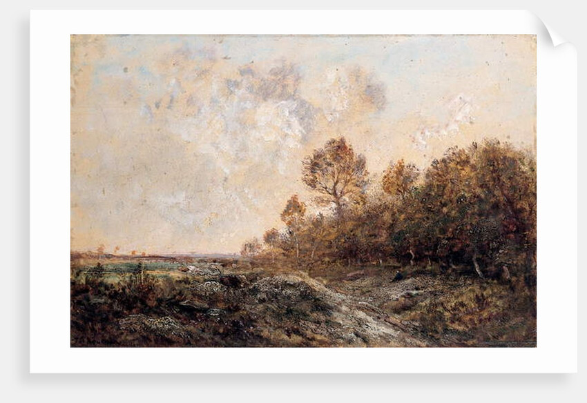 The edge of a wood by Theodore Rousseau