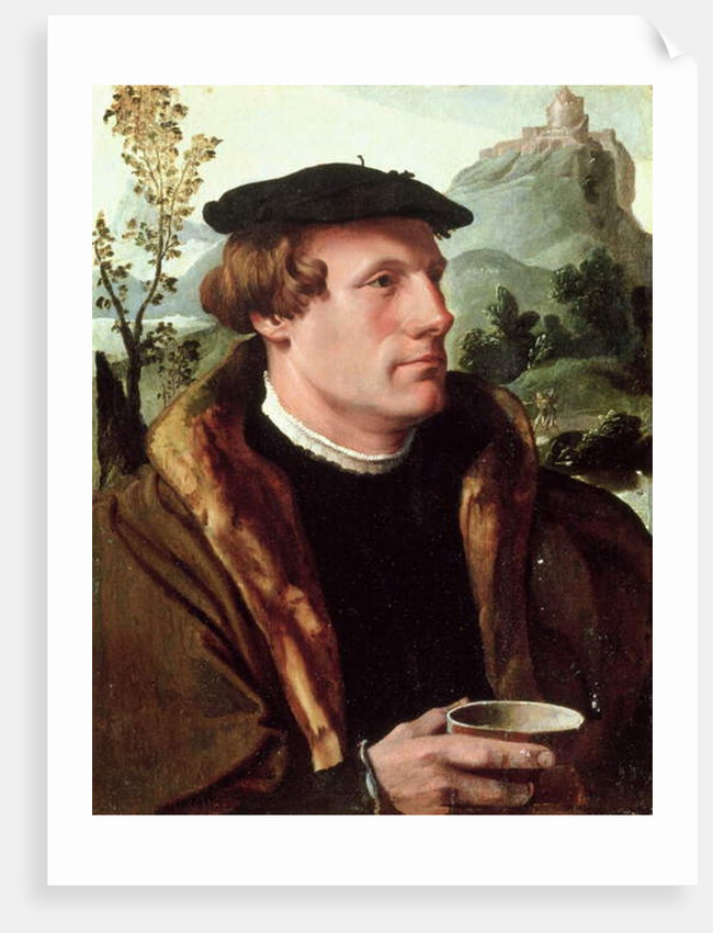 Portrait of a Gentleman by Maerten van Heemskerck