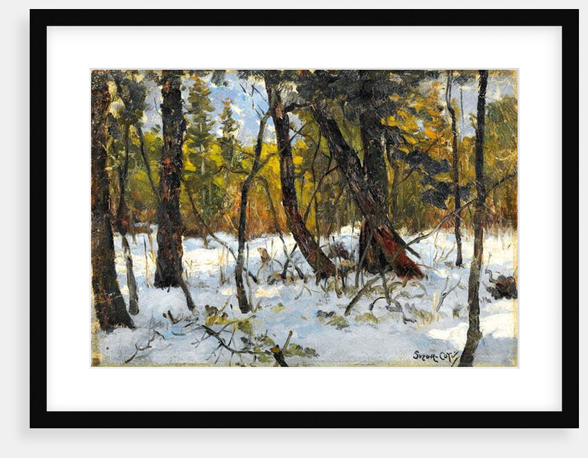 Woodland in winter by Marc Aurele de Roy Suzor-Cote