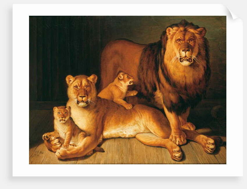 A Pride of Lions, 1801-02 by Jean-Baptiste Huet