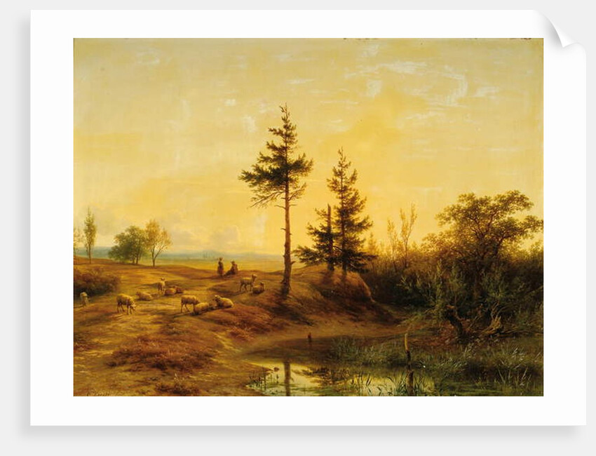 An extensive heath landscape by Cornelis Lieste