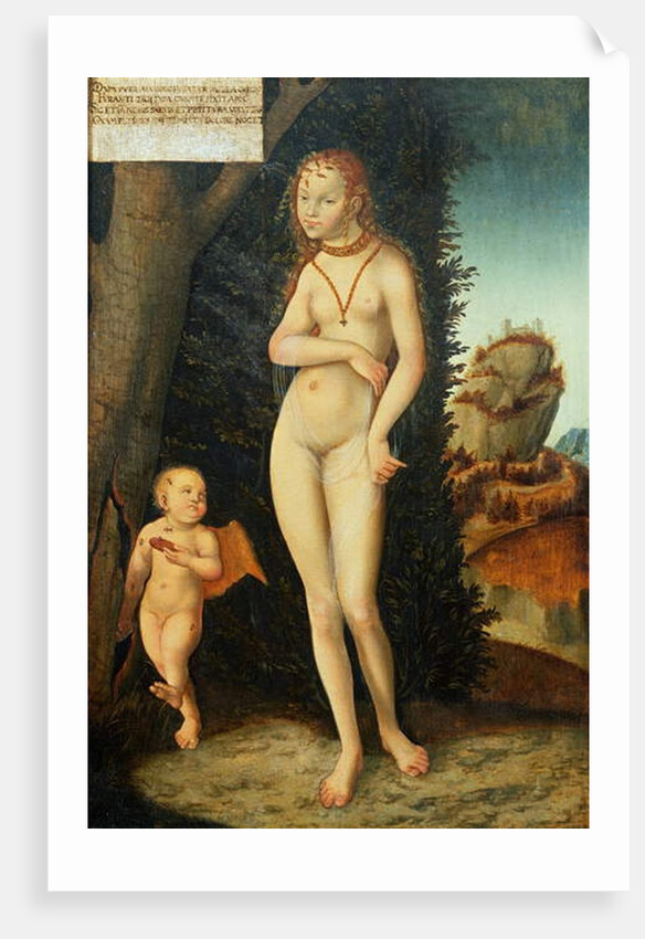 Venus with Cupid the Honey Thief by Lucas the Elder Cranach