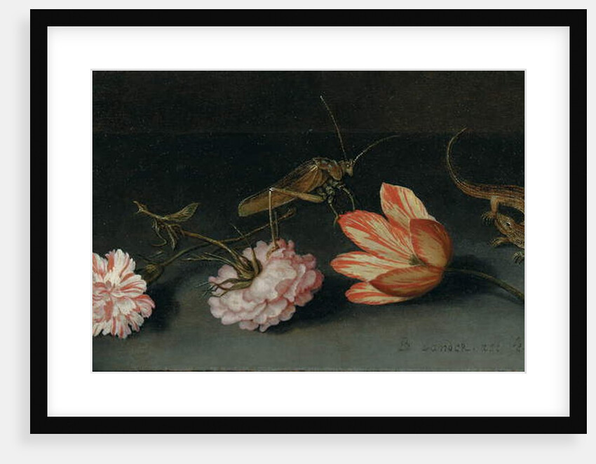 Carnations, a parrot tulip, a grasshopper and a lizard on a ledge by Balthasar van der Ast