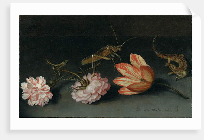 Carnations, a parrot tulip, a grasshopper and a lizard on a ledge by Balthasar van der Ast