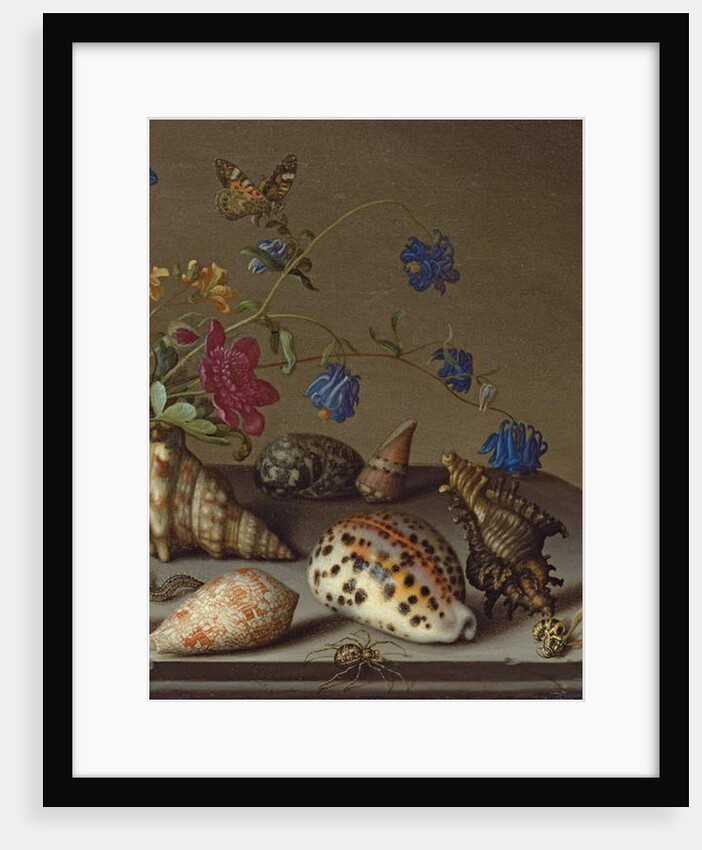 Flowers, shells and insects on a stone ledge by Balthasar van der Ast