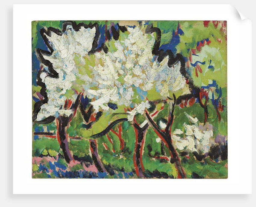 Flowering Trees IV, 1909 by Ernst Ludwig Kirchner