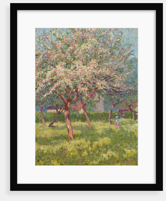 An orchard in bloom by Wynford Dewhurst