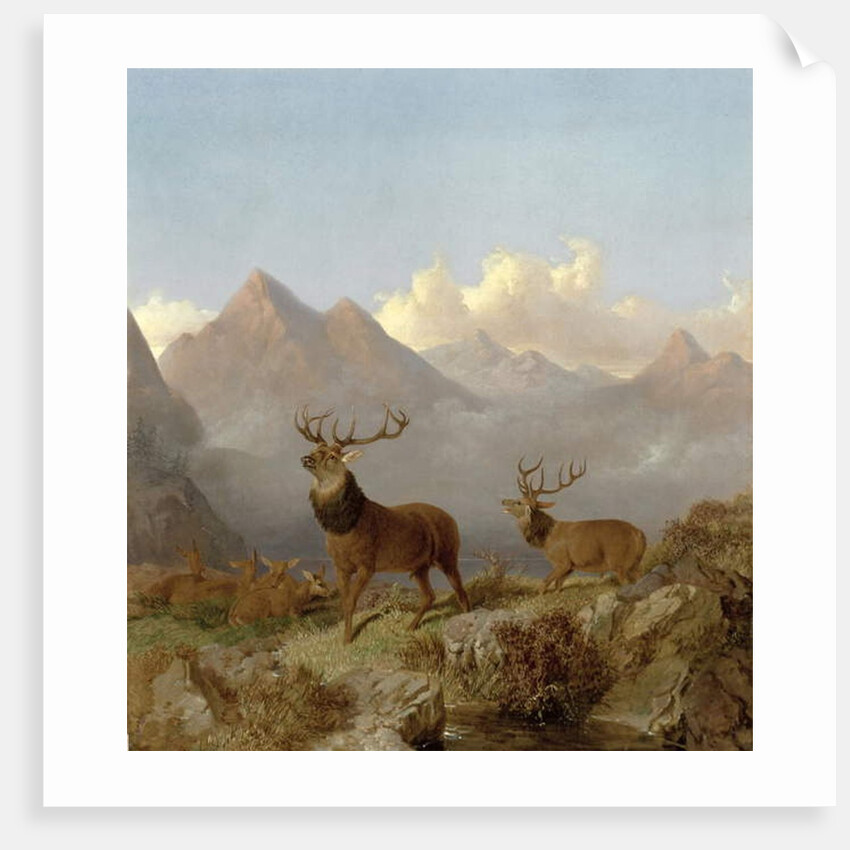 Detail of Stags And Hinds In A Highland Landscape, 1864 by John Frederick Herring Jnr