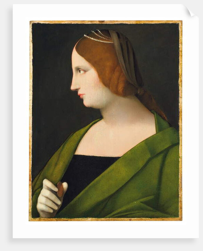 Portrait of a lady by Vincenzo di Biagio Catena