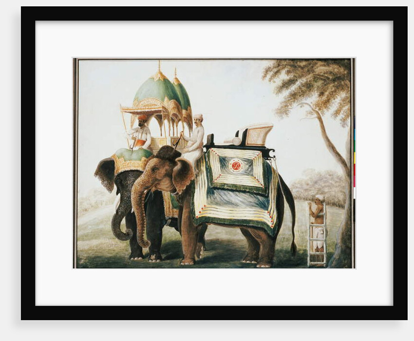 Elephants with their mahout, c.1815 by Anglo-Indian School