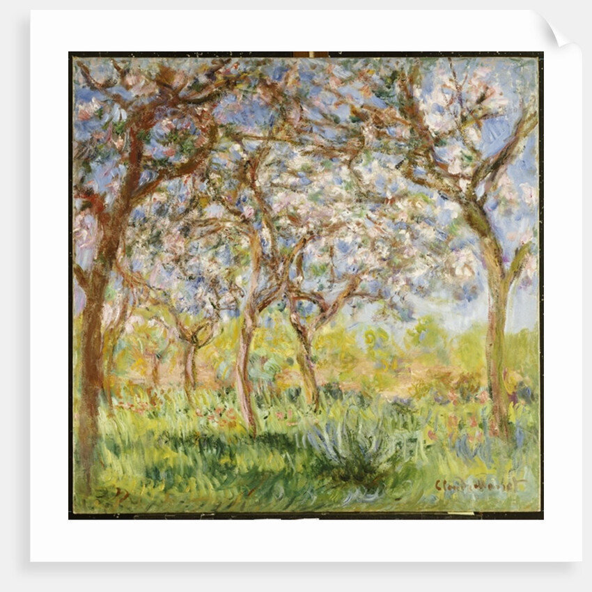 Spring at Giverny, 1903 by Claude Monet