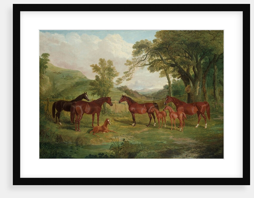 The Streatlam Stud, Mares and Foals, 1836 by John Frederick Herring Snr