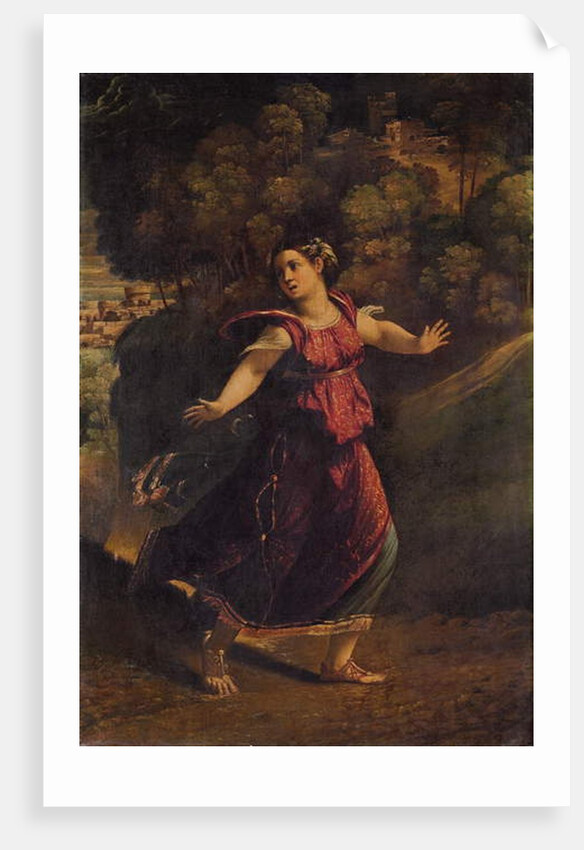 A woman fleeing on a wooded path, c.1520s by Dosso Dossi