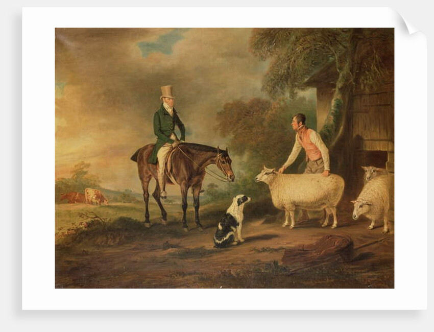 Sir John Palmer on his favourite mare with shepherd Joseph Green and prize Leicester Longwool sheep by John E. Ferneley