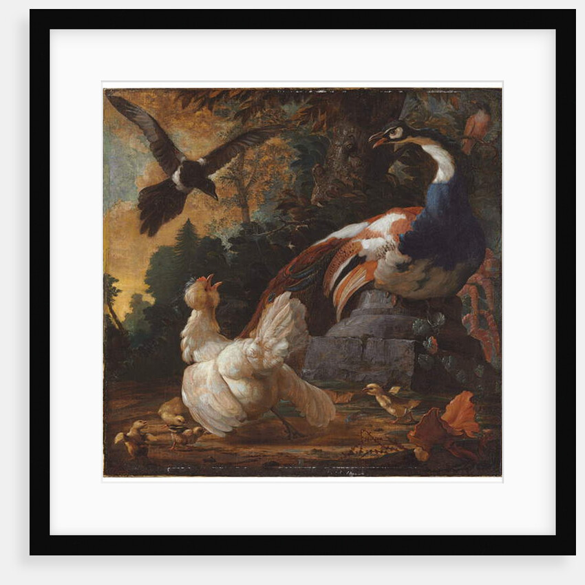 A peacock, poultry and a magpie in a landscape, 1720 by Abraham Bisschop