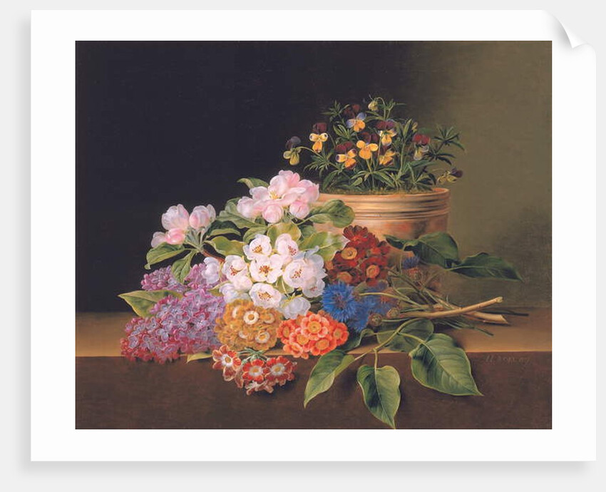 Lilac, apple blossom, cornflowers and sweet williams with a pot of violas on a ledge, 1827 by Johan Laurents Jensen