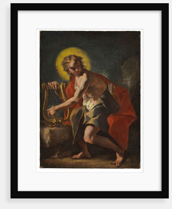 Apollo by Nicolò Grassi
