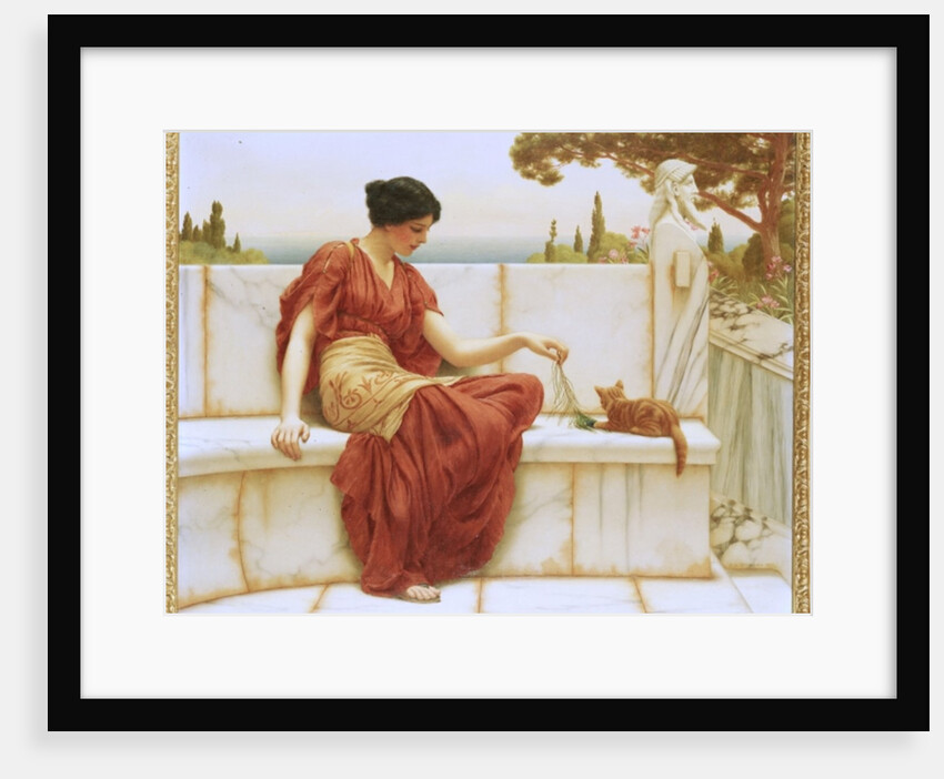 The Favourite, 1901 by John William Godward