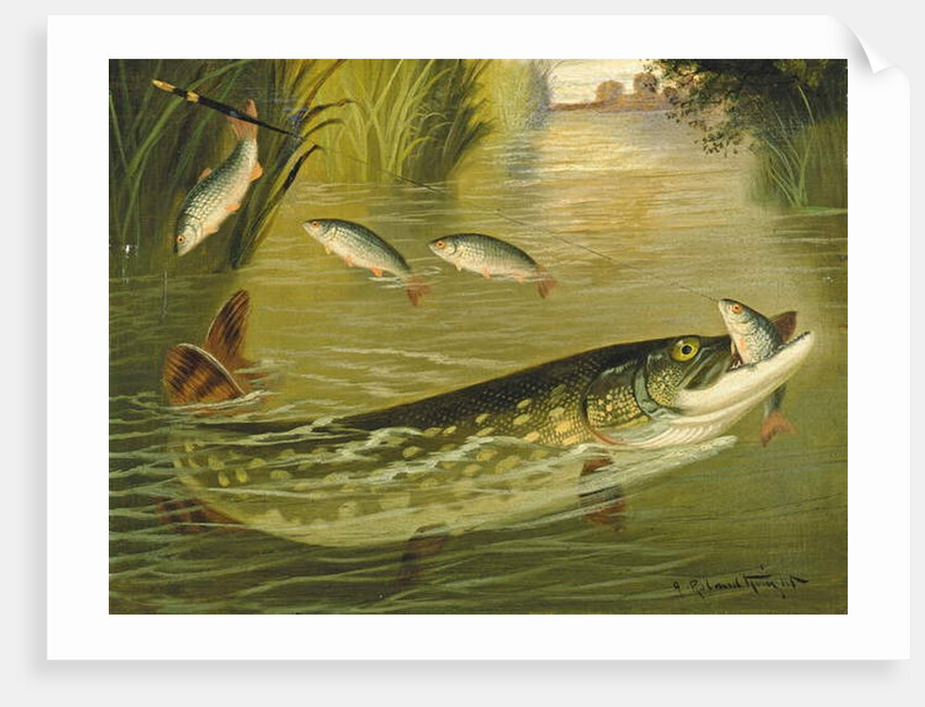 The four that got away! by A. Roland Knight