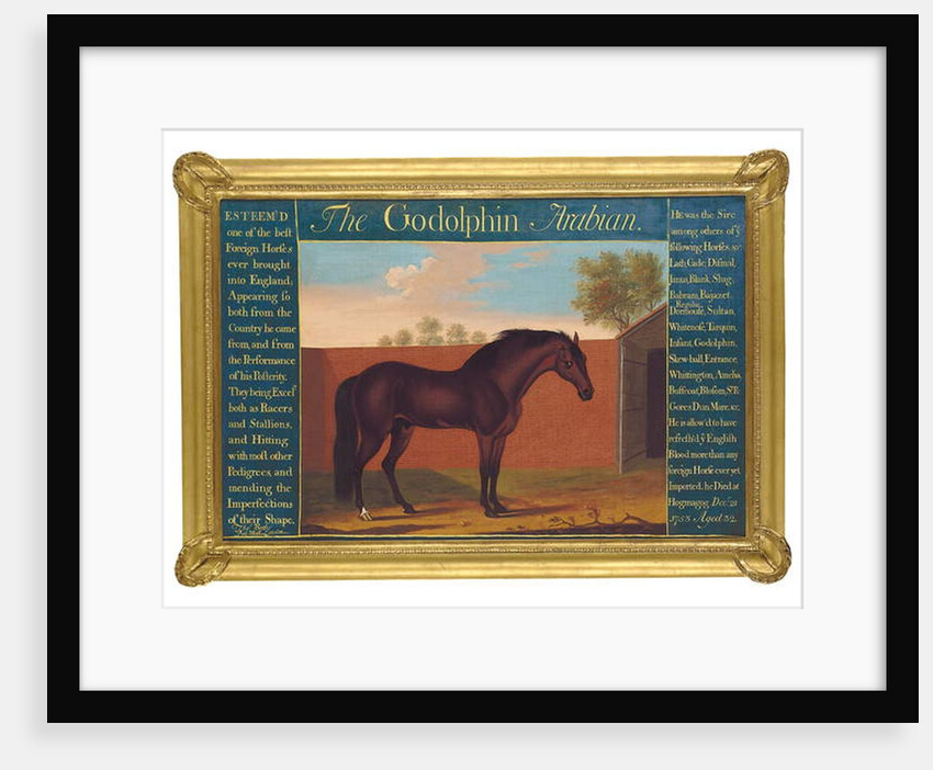 The Godolphin Arabian by Thomas of Pall Mall Butler