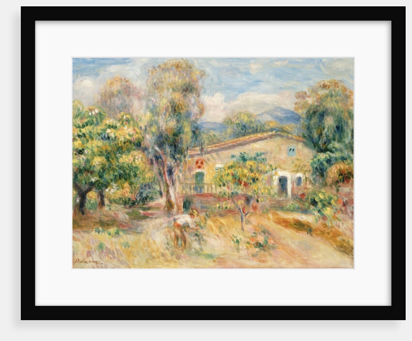 Collettes Farmhouse, Cagnes, 1910 by Pierre Auguste Renoir