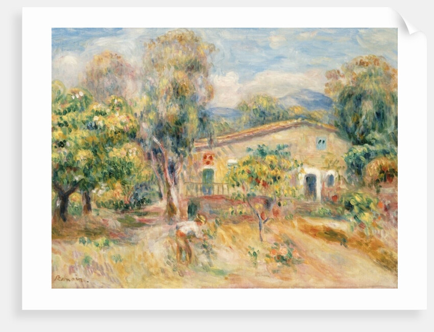 Collettes Farmhouse, Cagnes, 1910 by Pierre Auguste Renoir