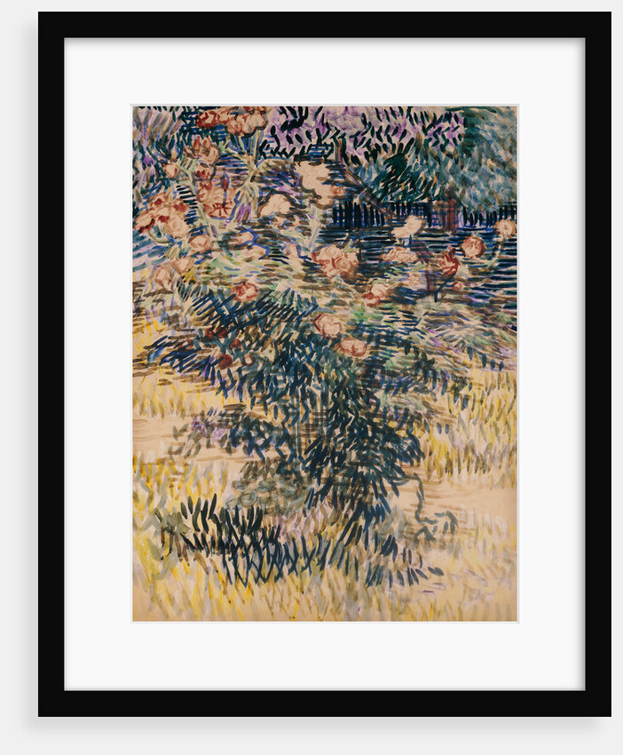 Oleanders, the Hospital Garden at Saint-Remy, 1889 by Vincent van Gogh