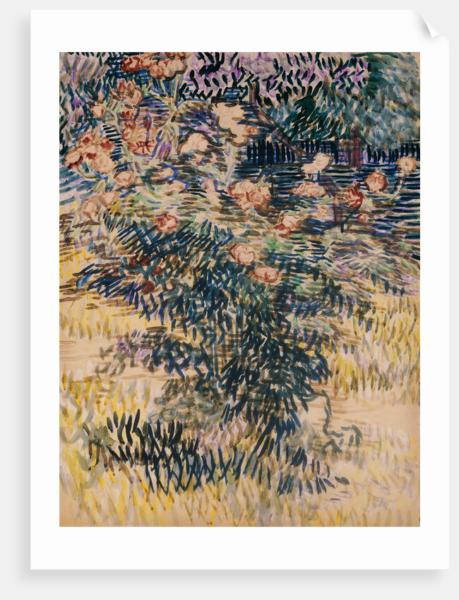 Oleanders, the Hospital Garden at Saint-Remy, 1889 by Vincent van Gogh