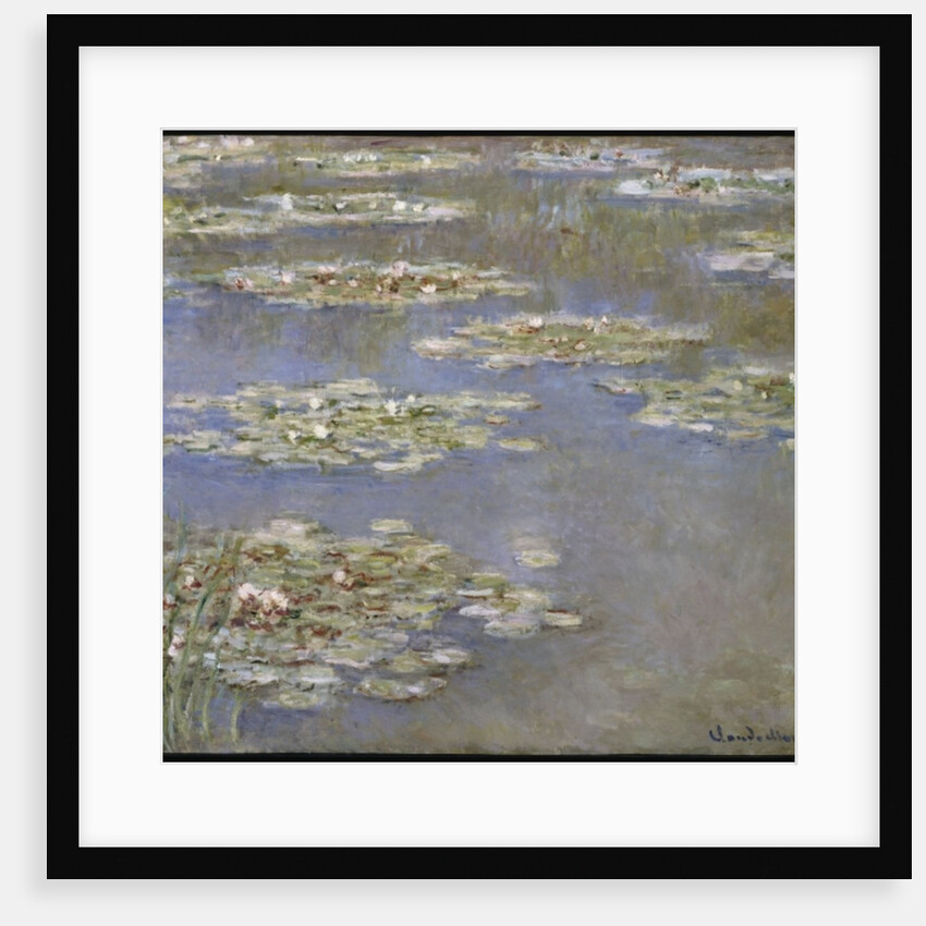 Nympheas, c.1905 by Claude Monet