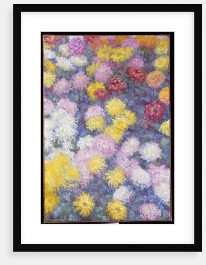 Chrysanthemums, 1897 by Claude Monet