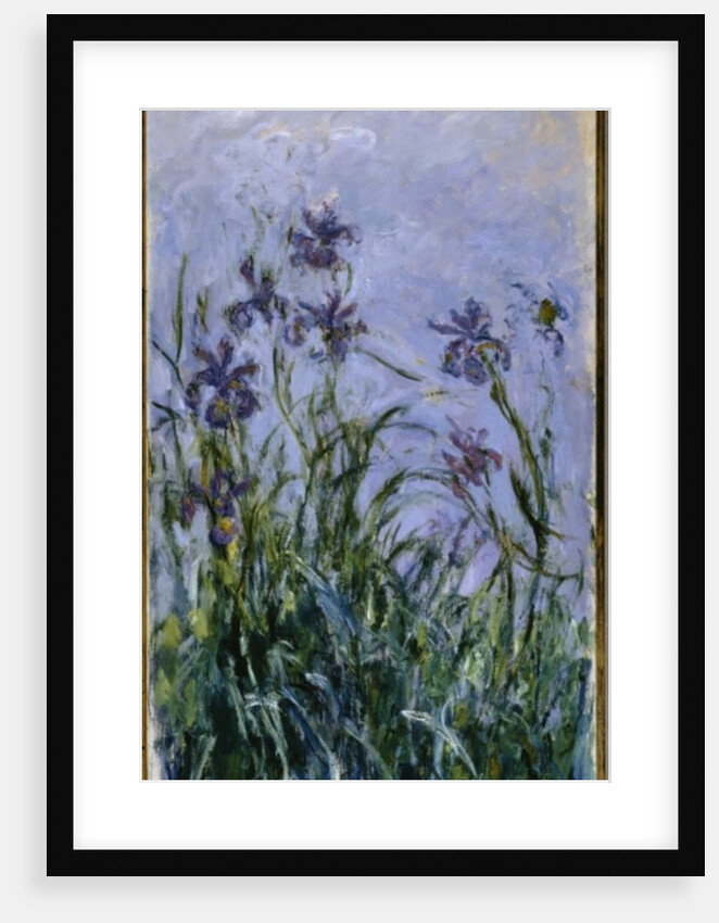 Purple Irises, 1914-17 by Claude Monet
