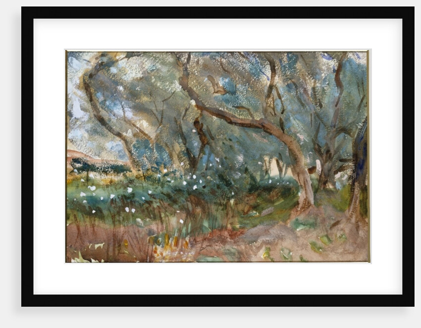 Landscape, Corfu, 1909 by John Singer Sargent