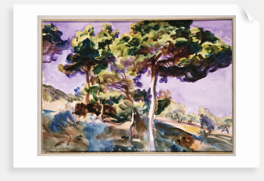 Trees by John Singer Sargent