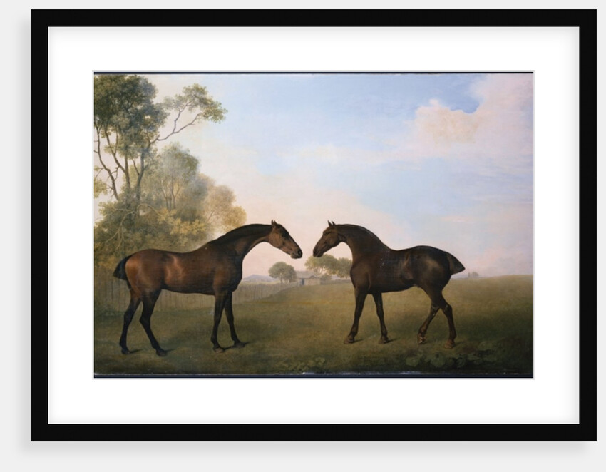 Two Hunters out at Grass by George Stubbs