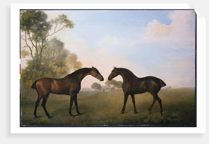 Two Hunters out at Grass by George Stubbs