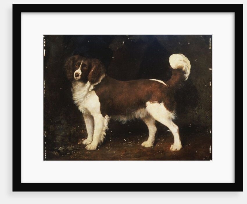 A Spaniel in a Landscape, 1784 by George Stubbs