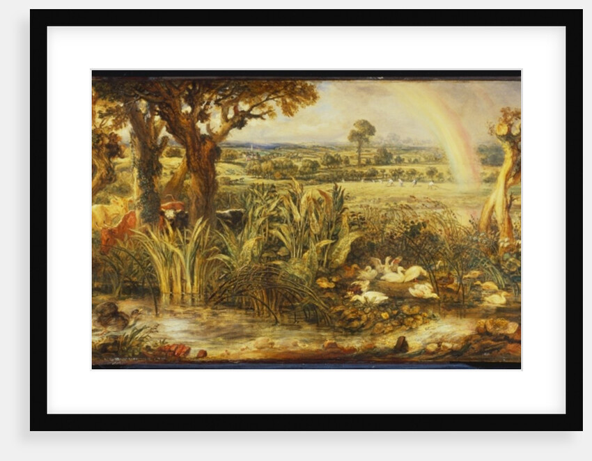 The Rainbow by James Ward