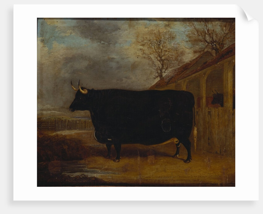 A black bull standing by a cowshed, an extensive landscape beyond by James Pollard