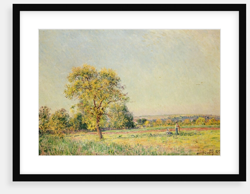 A Summer's Day, 1886 by Alfred Sisley