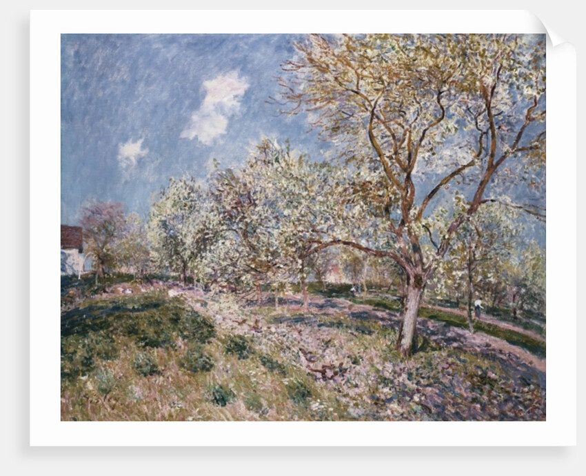 Spring at Veneux, 1880 by Alfred Sisley