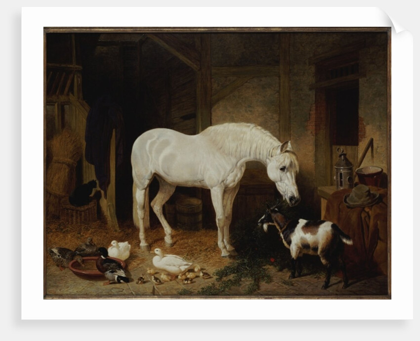 Stable Companions by John Frederick Herring Snr