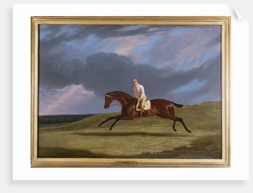 Corduroy, a Bay Racehorse, with a Jockey Up, Galloping on a Racecourse by John Frederick Herring Snr