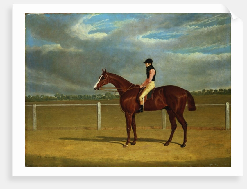 The Racehorse 'The Colonel' with William Scott Up by John Frederick Herring Snr
