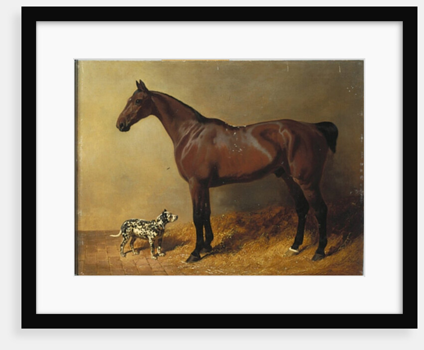 A Bay Hunter and a Spotted Dog in a Stable Interior, 1846 by John Frederick Herring Snr