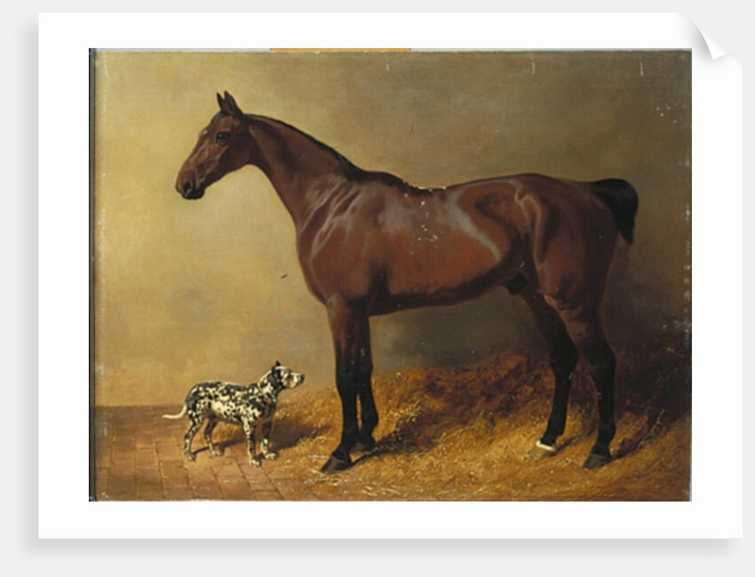 A Bay Hunter and a Spotted Dog in a Stable Interior, 1846 by John Frederick Herring Snr