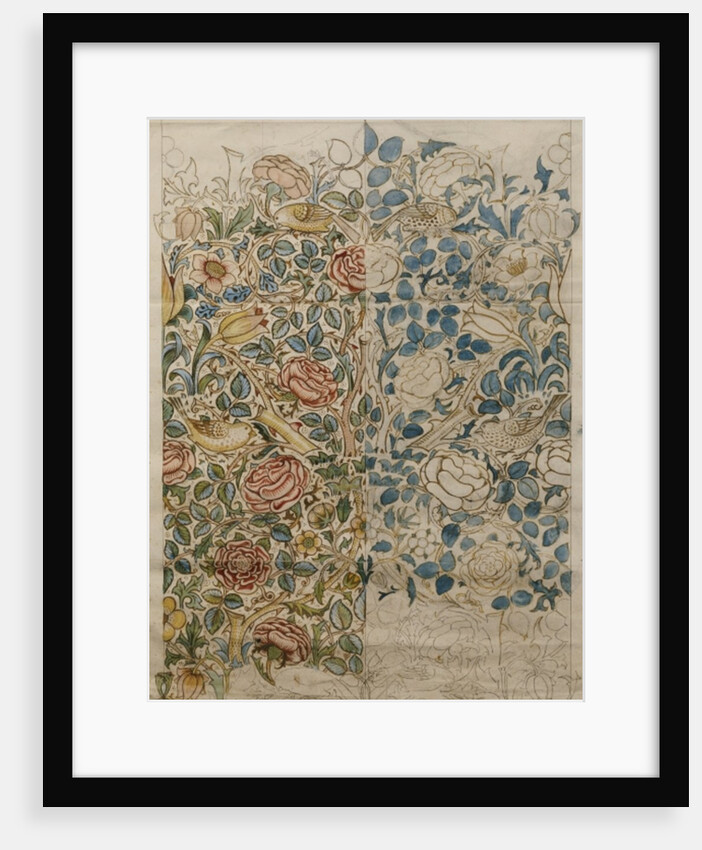 Rose, design for chintz by William Morris