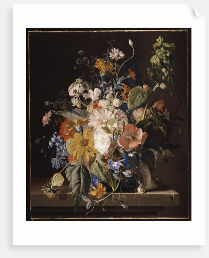Poppies, Hollyhock, Morning Glory, Viola, Daisies, Sweet Pea, Marigolds and other Flowers in a Vase with a Snail on a Ledge by Jan van Huysum