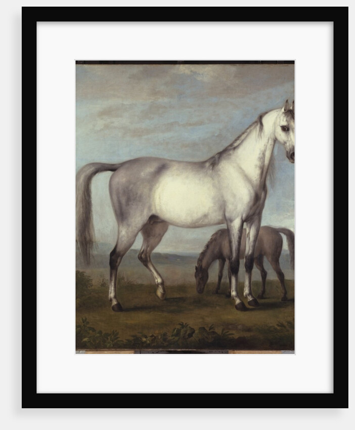 A Grey Mare and a Foal in an Extensive Hilly Landscape by Peter Tillemans