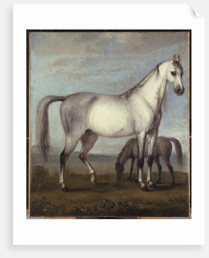 A Grey Mare and a Foal in an Extensive Hilly Landscape by Peter Tillemans