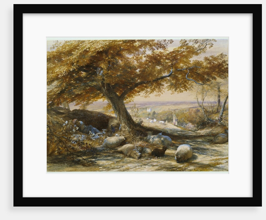 Sheep in the Shade, c.1851 by Samuel Palmer